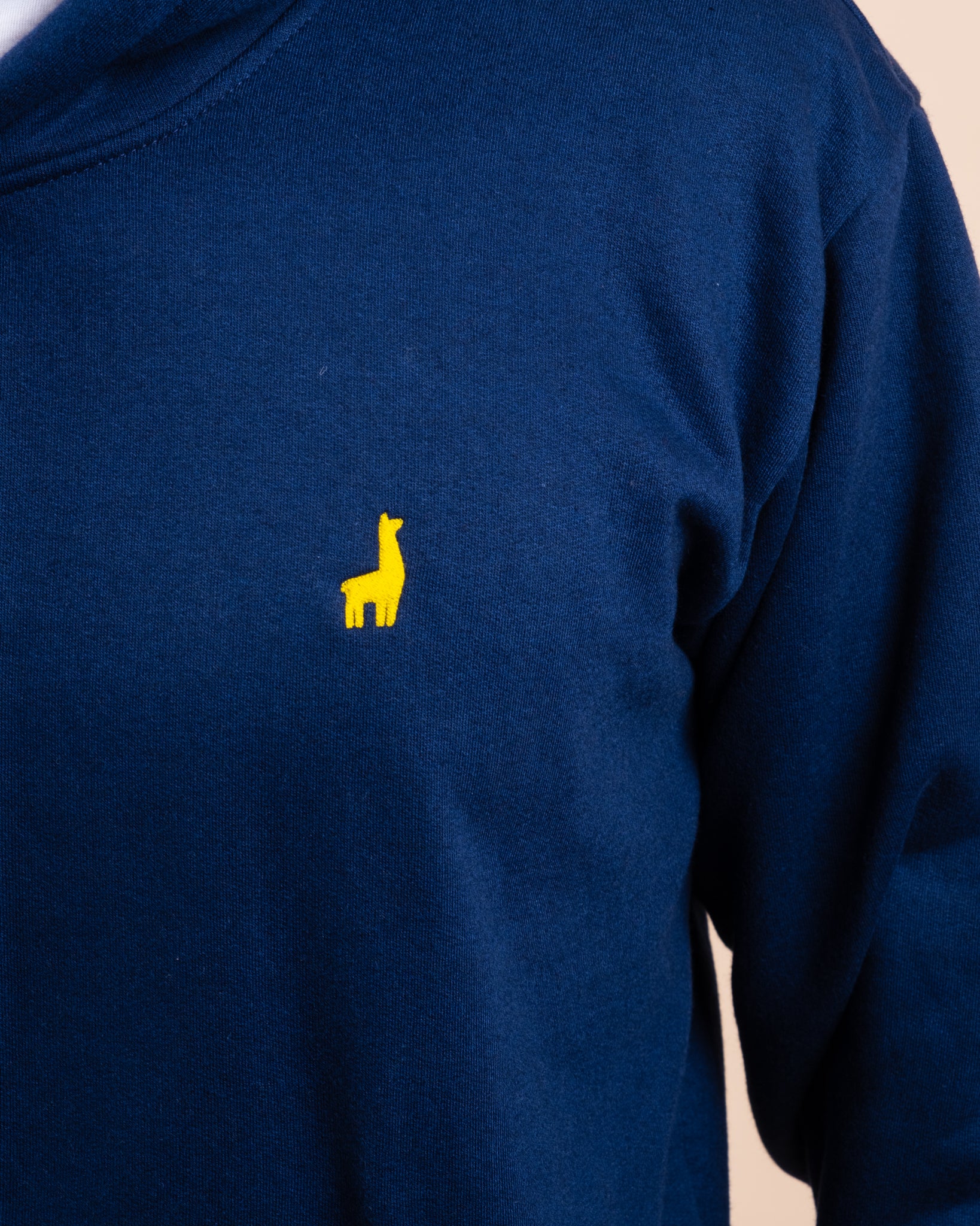 Blue Hoodie Sweatshirt