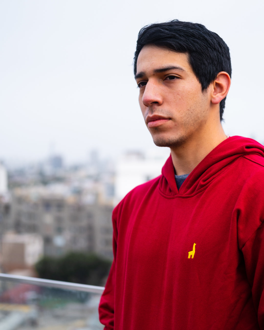 Dark Red Hoodie Sweatshirt