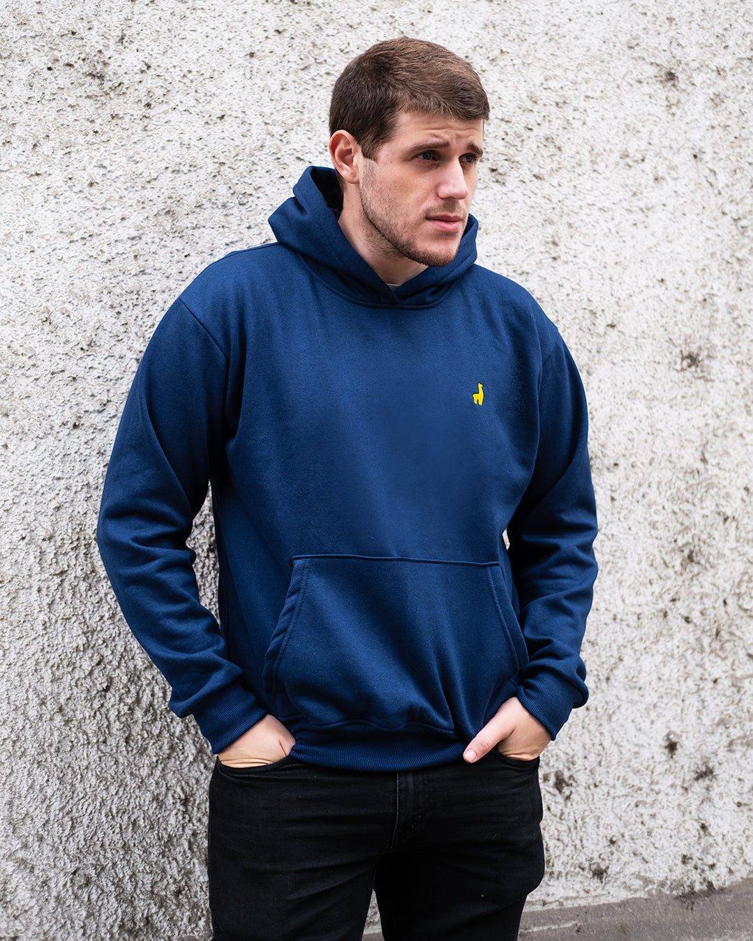 Blue Hoodie Sweatshirt